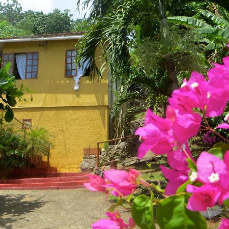La Familia Guest House And Natural Farm Port Antonio Eksteriør billede