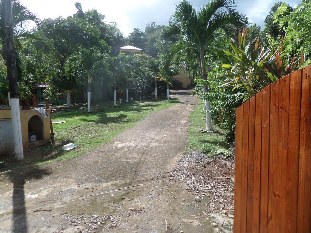 La Familia Guest House And Natural Farm Port Antonio Eksteriør billede