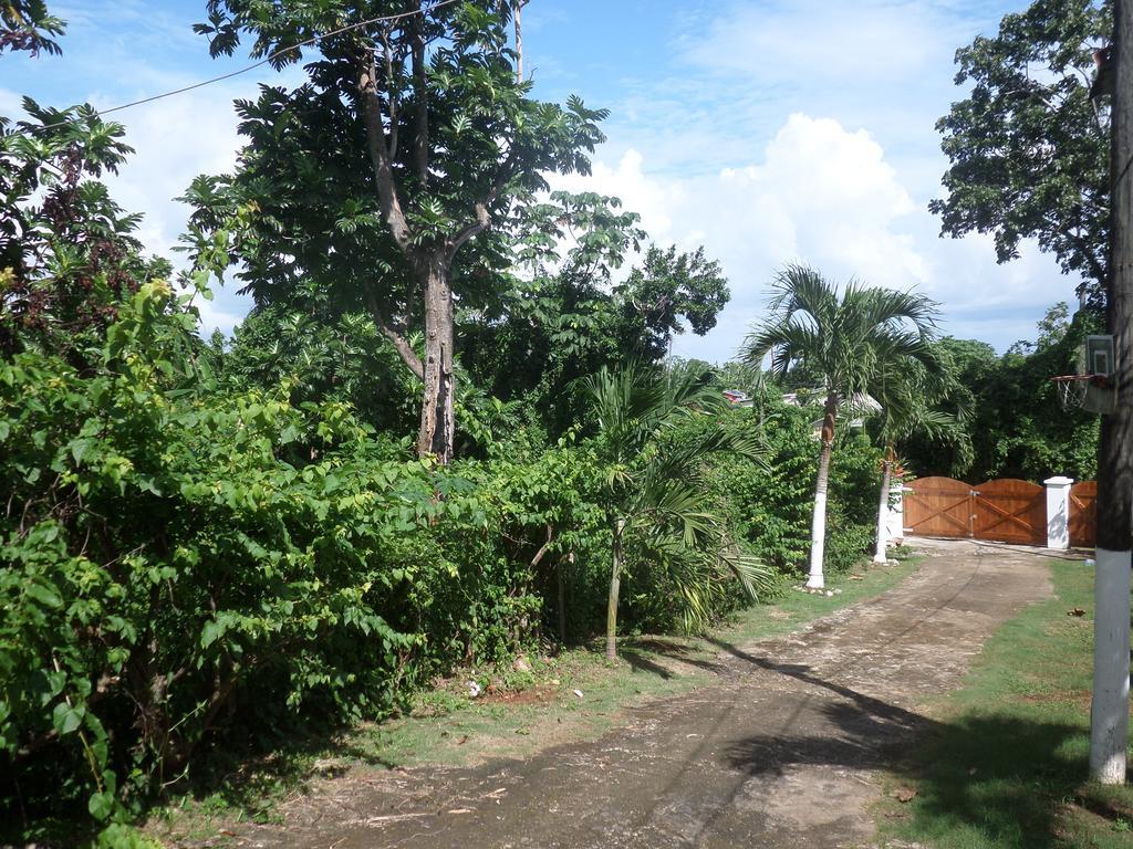 La Familia Guest House And Natural Farm Port Antonio Eksteriør billede