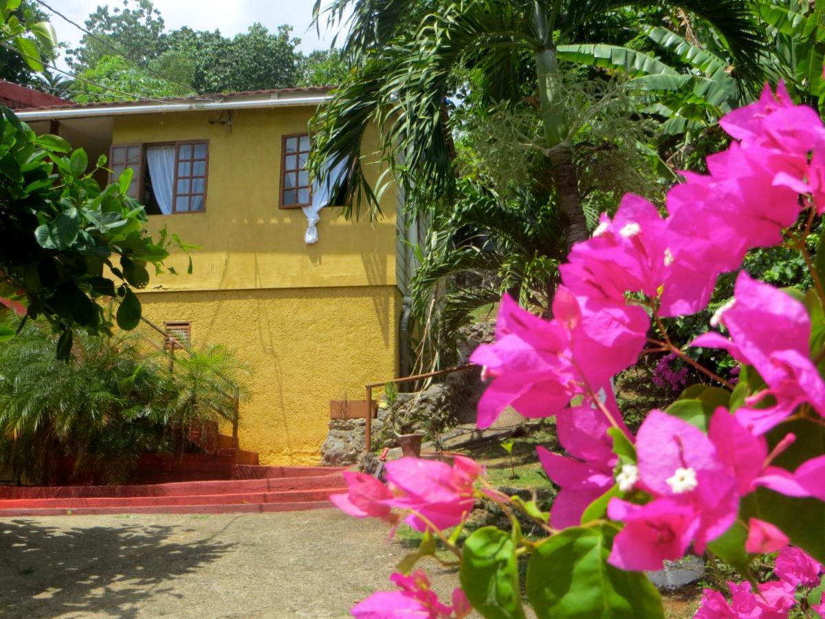 La Familia Guest House And Natural Farm Port Antonio Eksteriør billede